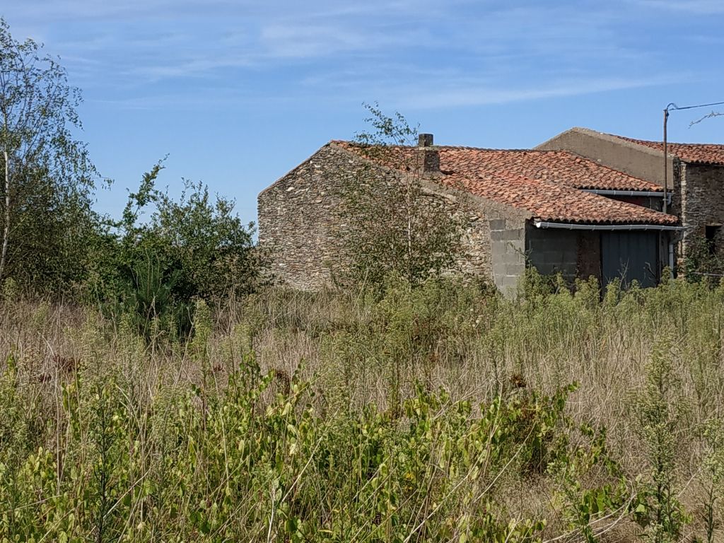 Bâtiment en pierre à rénover sur terrain 1700m²