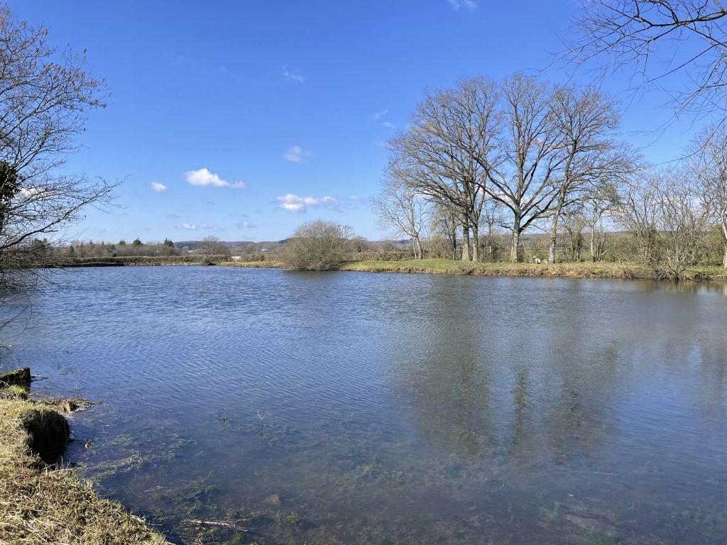 Etang de 5248 m2 avec terrain de 1777 m2