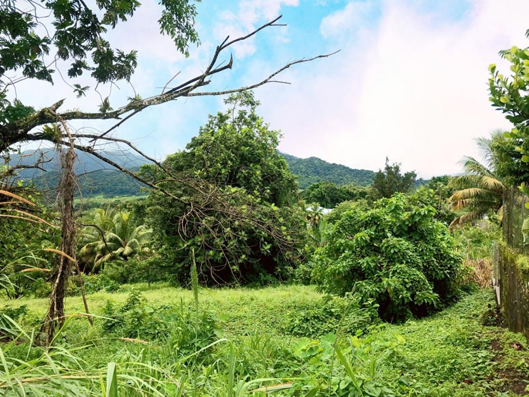 L'AJOUPA-BOUILLON Terrain Constructible 977 m2 L'Ajoupa Bouillon 2