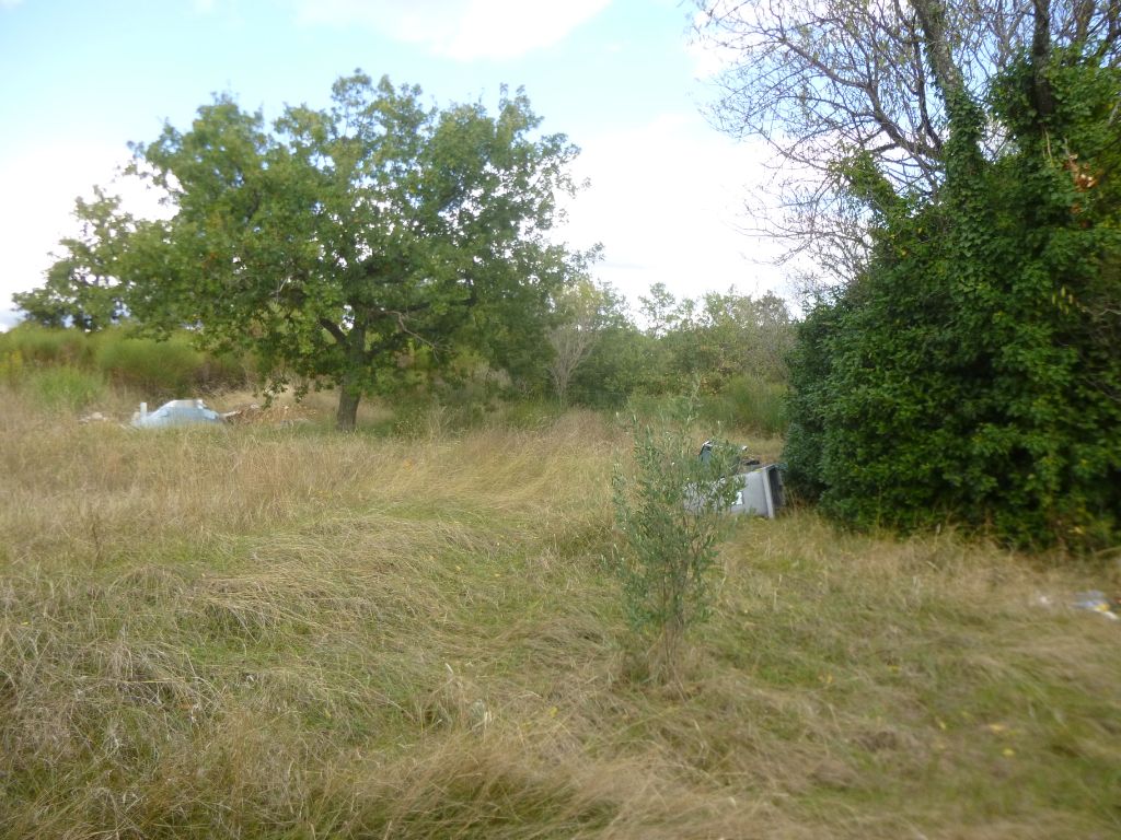 VALREAS Maison au milieu des vignes 3