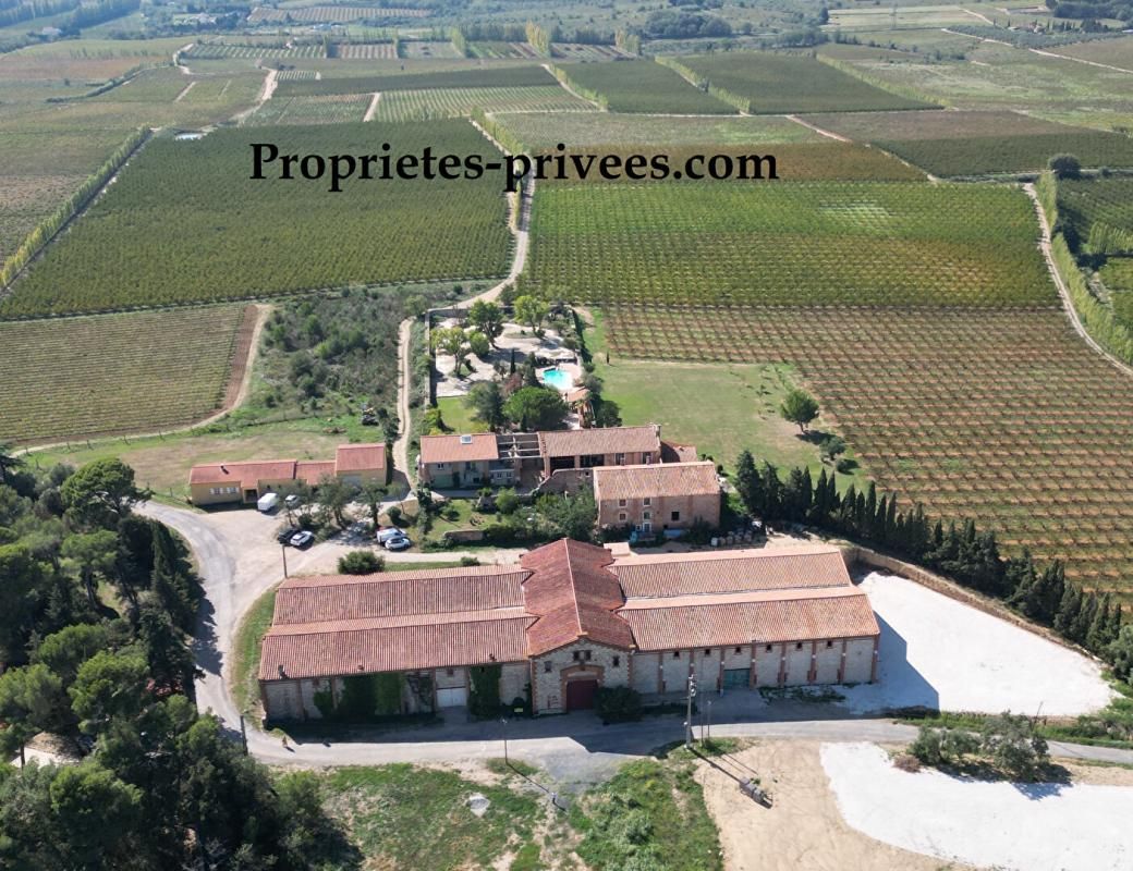 PERPIGNAN Domaine viticole 1
