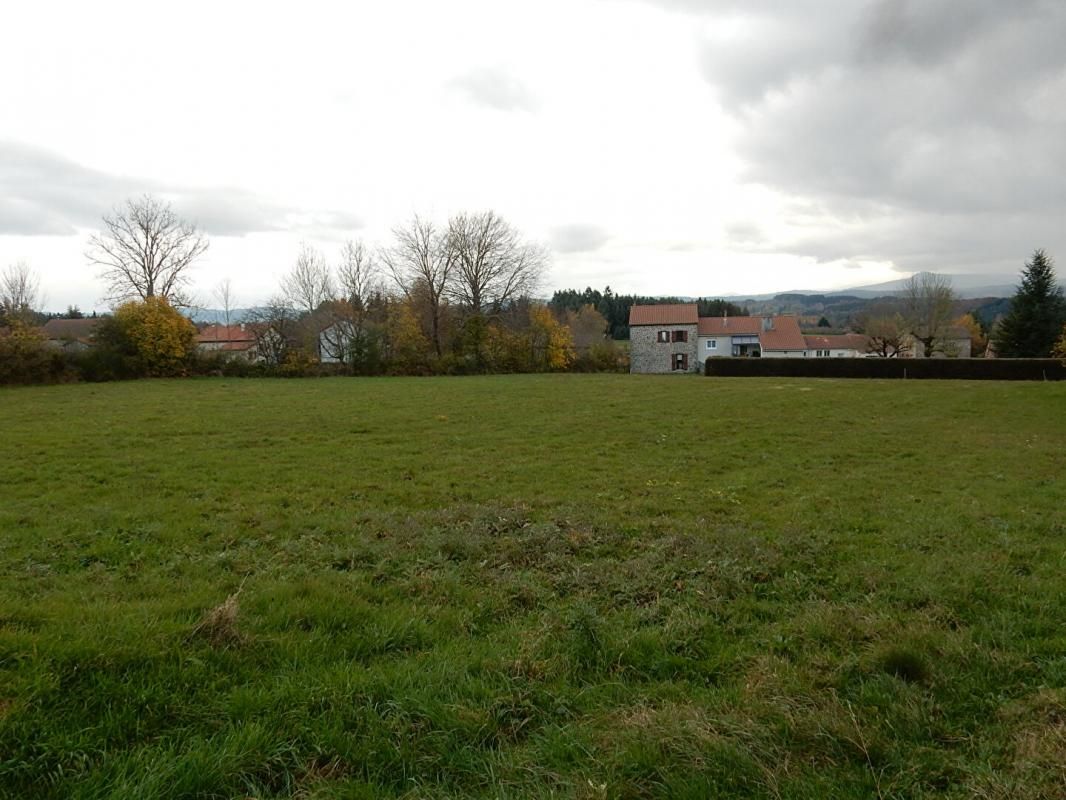 Terrain Lapte 4994 m2