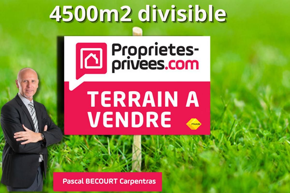 SAINT-CHRISTOL SAINT CHRISTOL D'ALBION 84390 -  TERRAIN CONSTRUCTIBLE ET DIVISIBLE 4497 m2 2