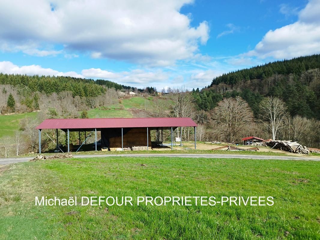 YSSINGEAUX Corps de ferme avec 3 hectares de terrain 3