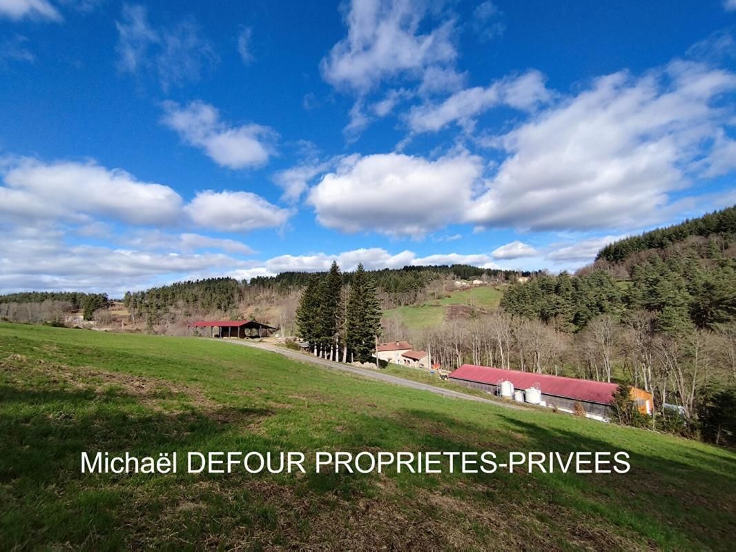 YSSINGEAUX Corps de ferme avec 3 hectares de terrain 4