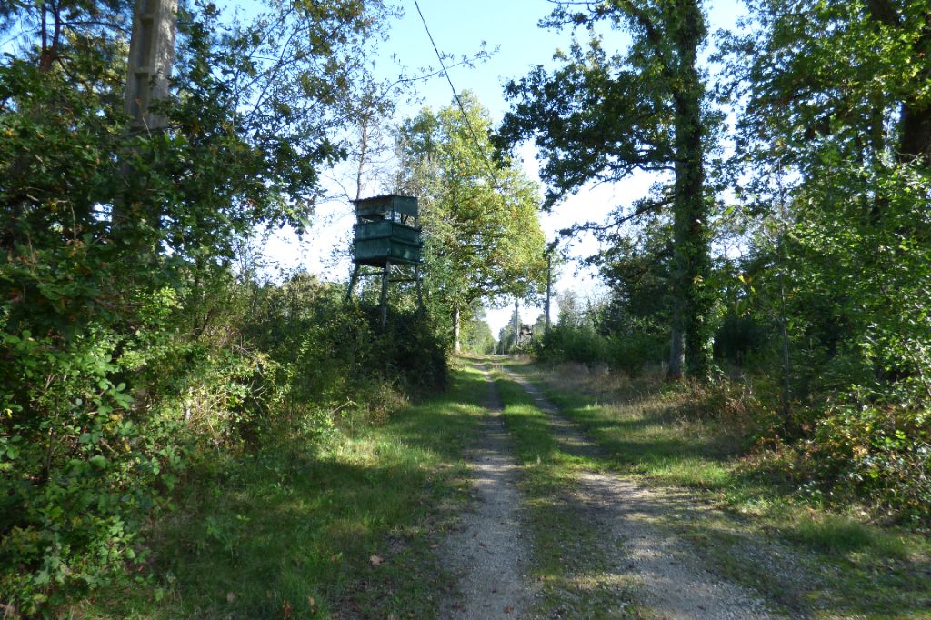 LAMOTTE-BEUVRON Propriété de chasse en Coeur de Sologne 3