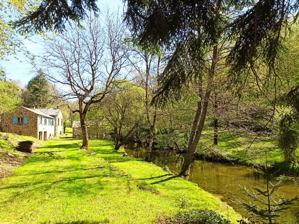 CASTRES ANCIEN MOULIN RENOVÉ  DE 340 M2  SUR 8,5 Ha DE BOIS ET PRAIRIES 2