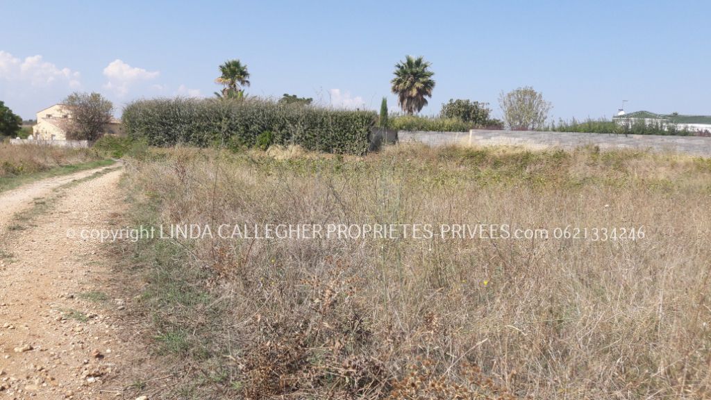 PéZENAS Terrain agricole en friche, proche 34120 Pezenas 9343 m2 3