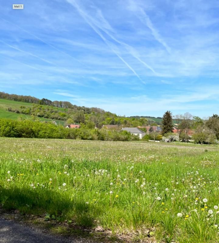 SOULIGNY Terrain à batîr  viabilisé  878m2   à SOULIGNY  ( 13mn de TROYES) 4