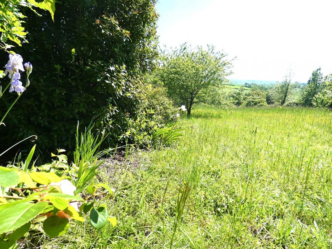 PUYLAROQUE Terrain arboré pour loisir avec cabanon - Puylaroque 2170 m2 1