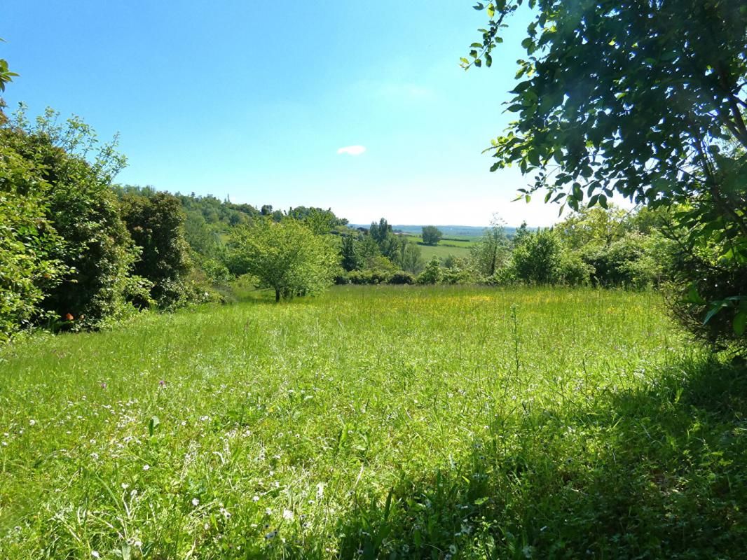 PUYLAROQUE Terrain arboré pour loisir avec cabanon - Puylaroque 2170 m2 3