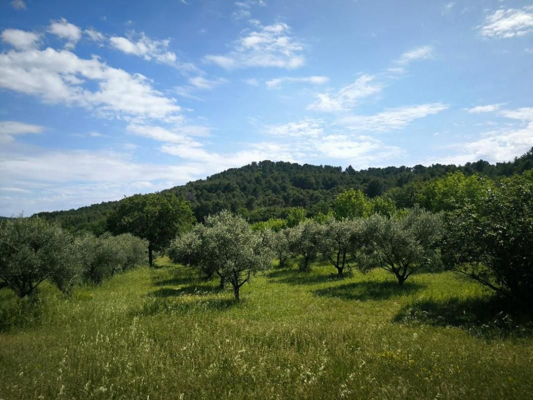 PERNES-LES-FONTAINES Mas à renover avec une vue imprenable 2