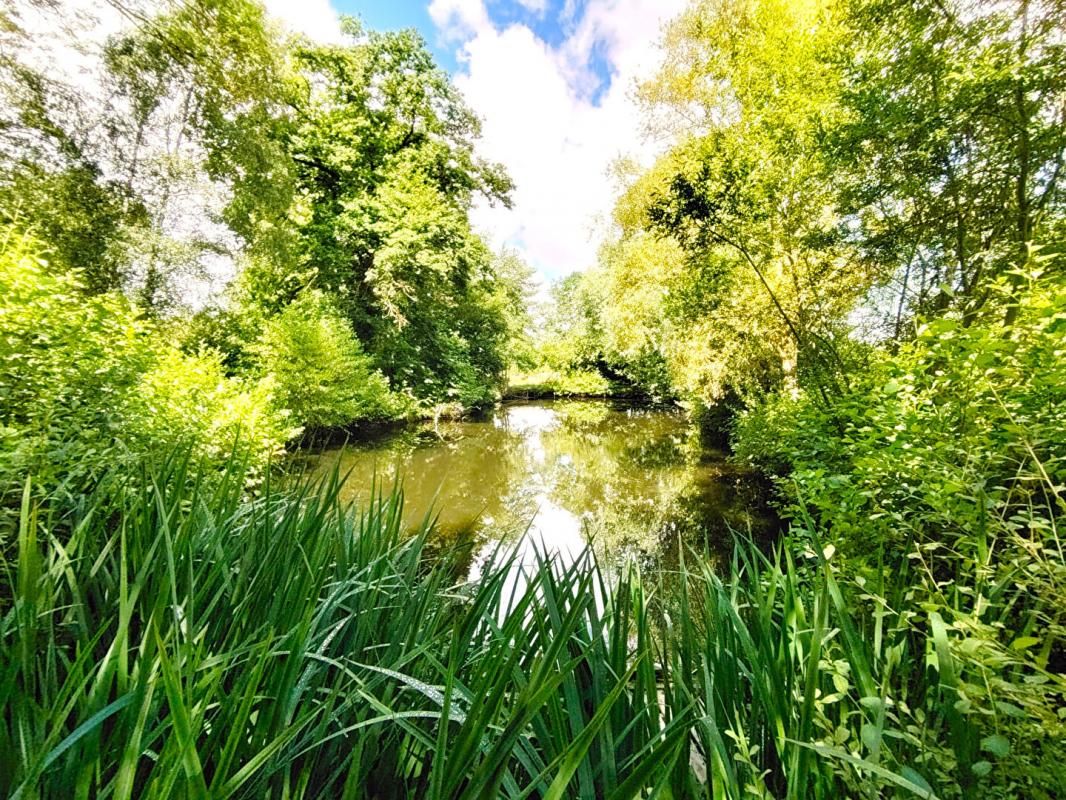 MAINTENON Terrain de loisirs DE 4 870 M² Proche MAINTENON avec 2 étangs 1