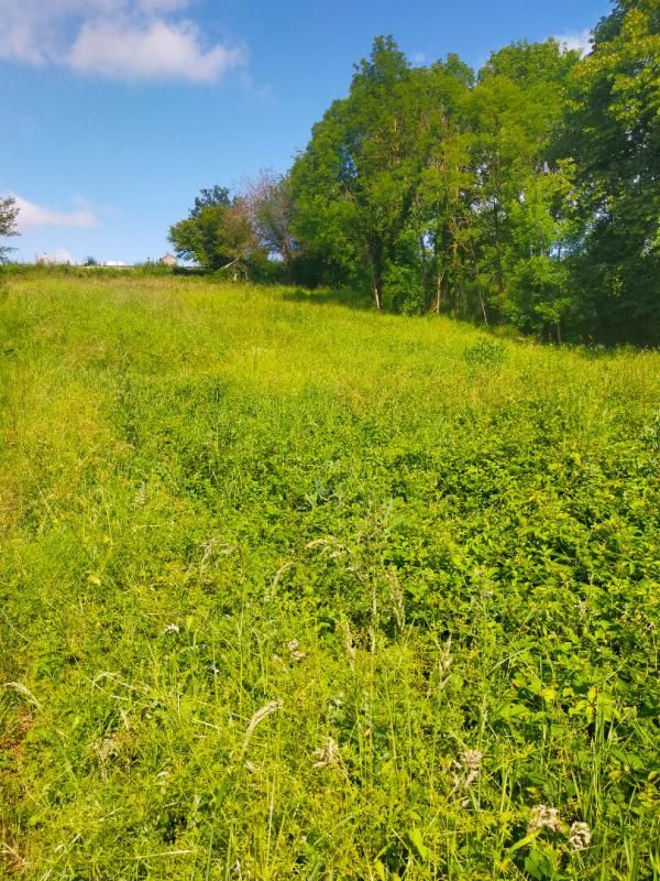 COURPIERE Terrain Courpiere 2562 m2 4