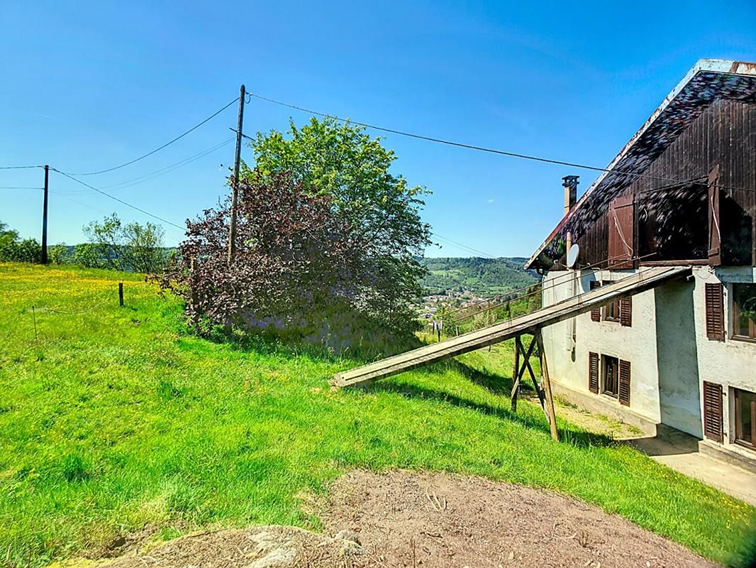 LE THILLOT Ferme "belle vue" avec un grand potentiel et plus de 1,5 ha de terrain 3