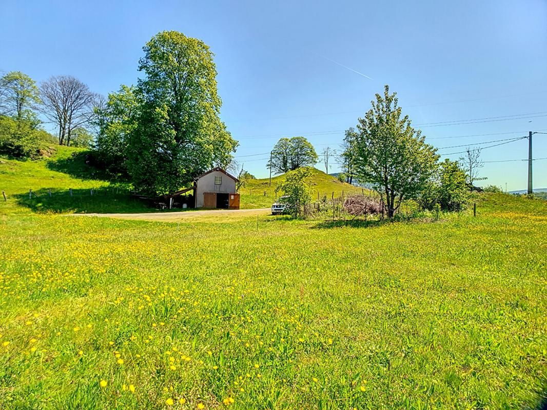 LE THILLOT Ferme "belle vue" avec un grand potentiel et plus de 1,5 ha de terrain 4