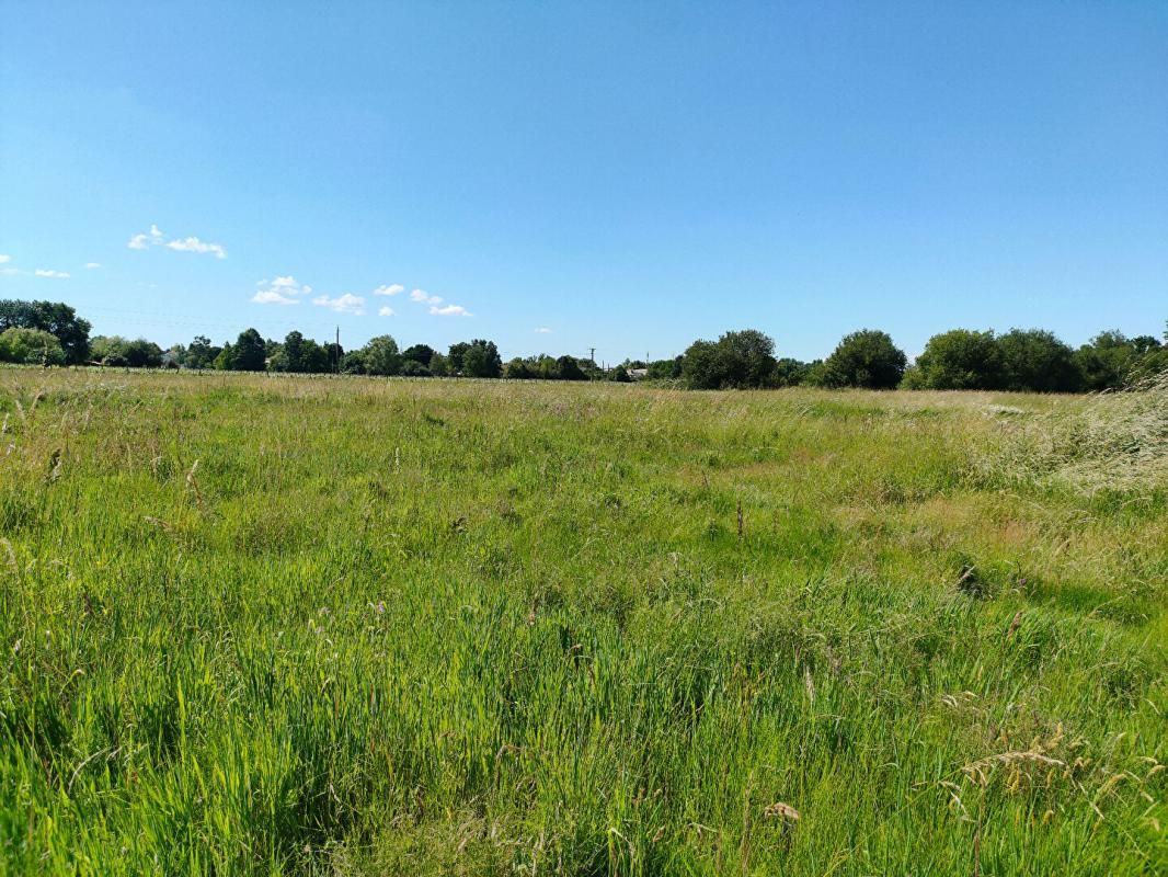 SAINT-LOUBES TERRAIN AGRICOLE 3.36 HECTARES (NON CONSTRUCTIBLE) 3