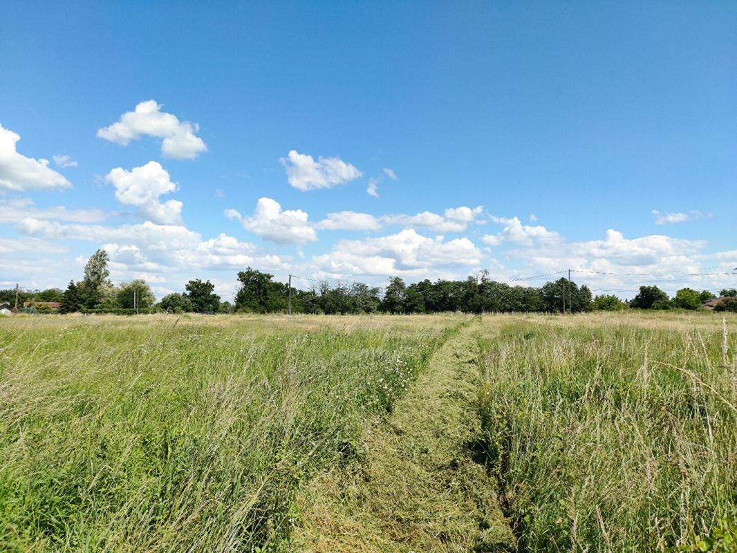 SAINT-LOUBES TERRAIN AGRICOLE 3.36 HECTARES (NON CONSTRUCTIBLE) 4