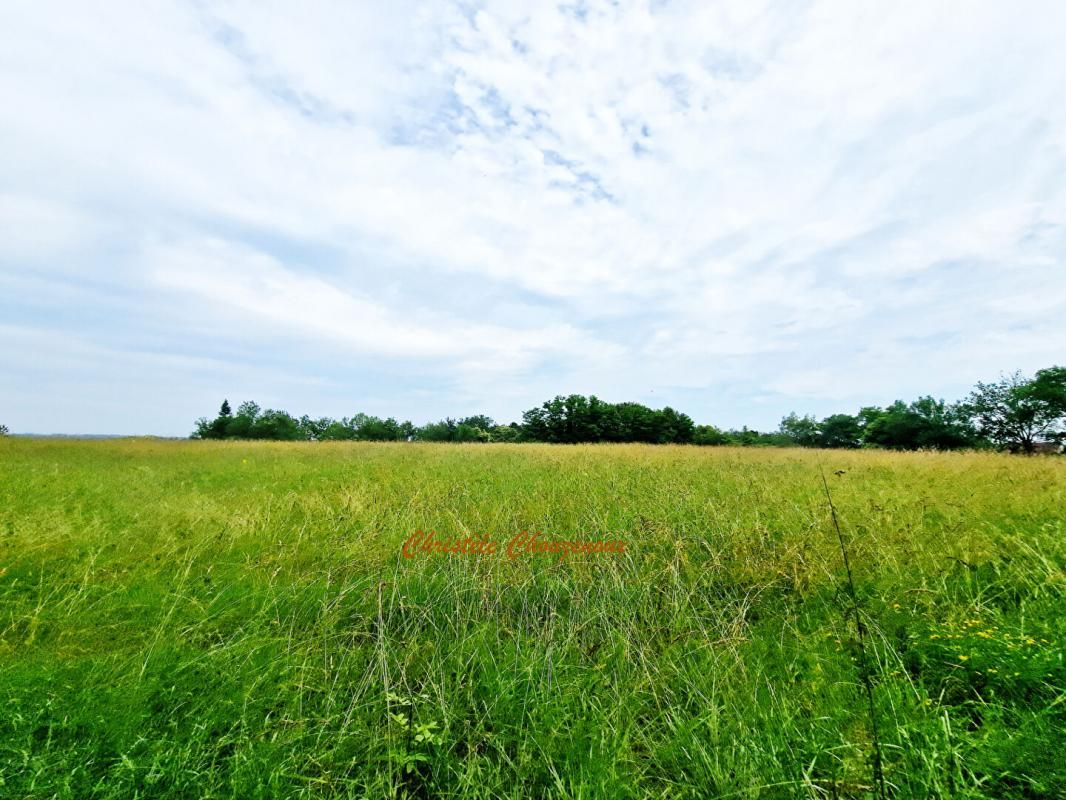 24290 Saint Léon Sur Vèzère : Terrain à bâtir de 24833 m2