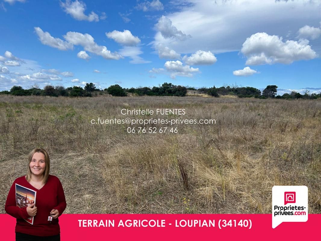 HERAULT - LOUPIAN - TERRAIN AGRICOLE - 11000M2