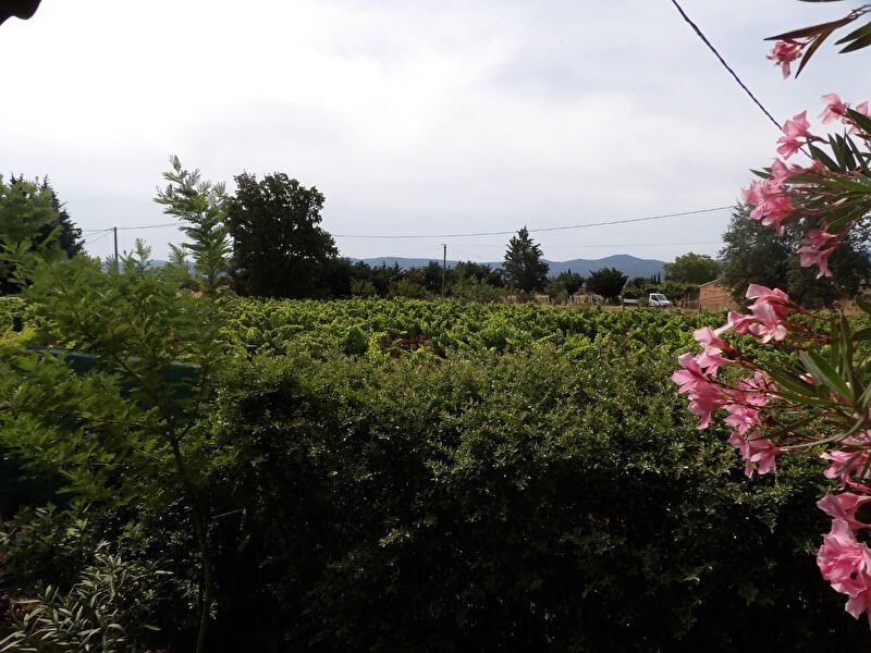 LE LUC Le Luc Charmante Propriété avec Deux Maisons, Piscine et Jardin 283500 3