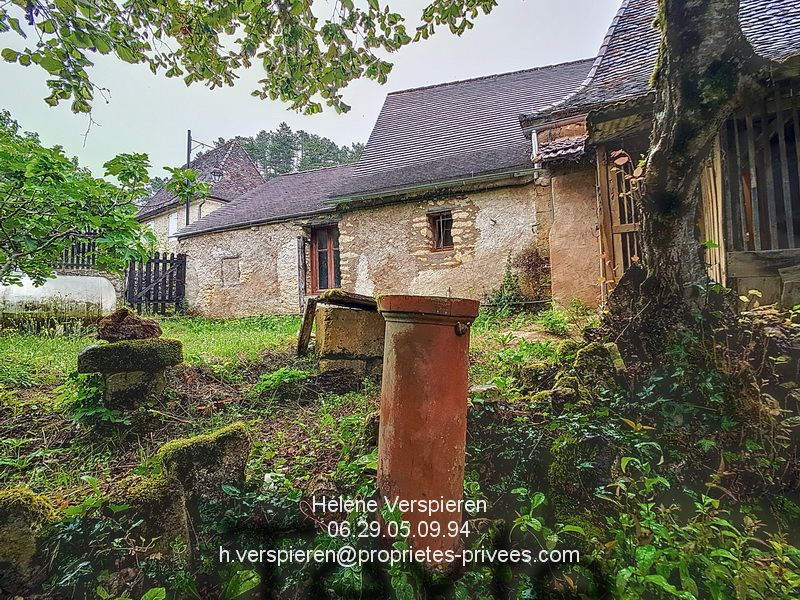 LE BUISSON-DE-CADOUIN Maison Le Buisson De Cadouin 4 pièce(s) 61 m2 terrain 777 m2 4