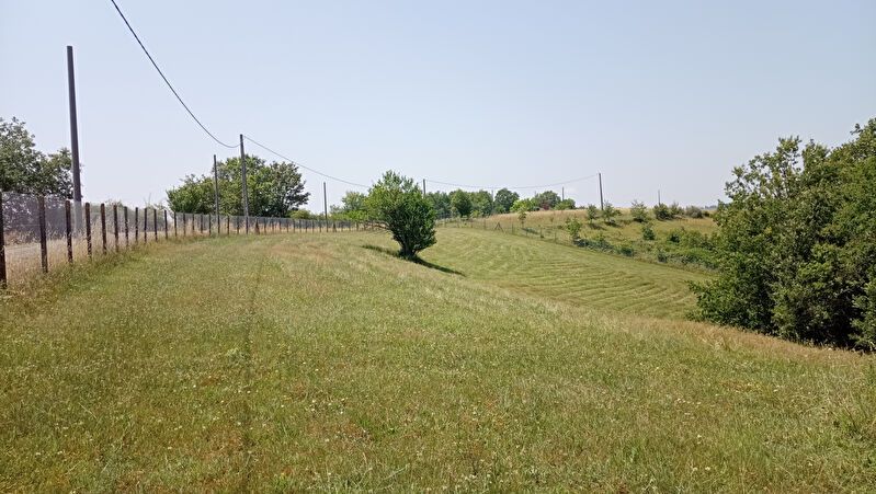 terrain agricole