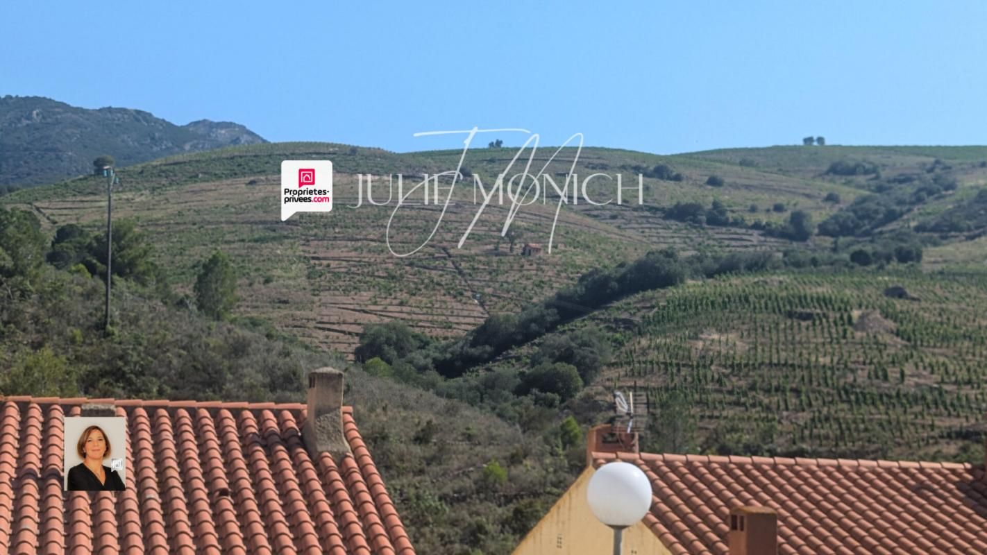 BANYULS-SUR-MER Vue sur les montagnes, terrasses, garage 3