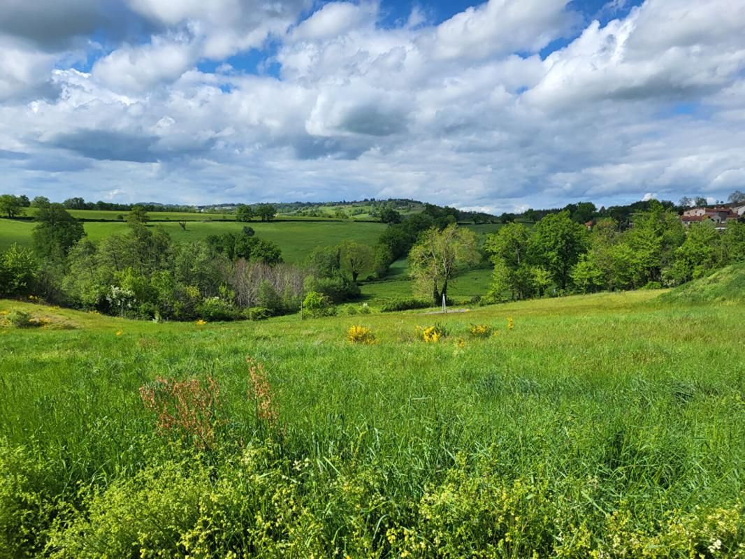 SAINT-MARCEL-DE-FELINES Terrain de 733 M² avec vue et viabilisé 4