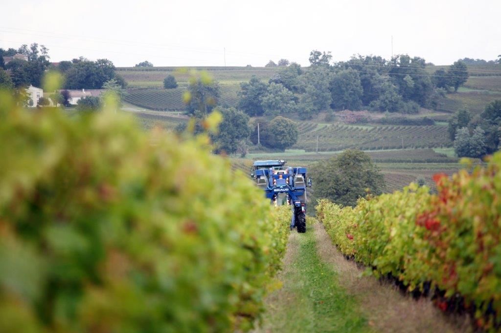 Parcelles de vignes AOC Côtes de Bourg - 12ha - Grand Vin de Bordeaux