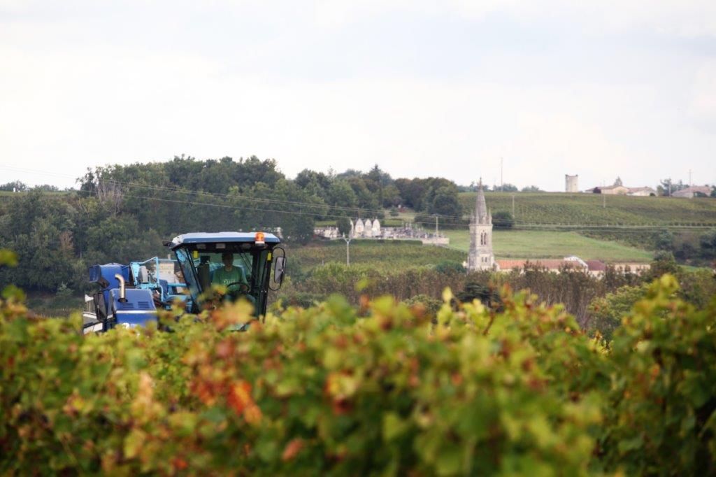 BOURG Parcelles de vignes AOC Côtes de Bourg - 12ha - Grand Vin de Bordeaux 2