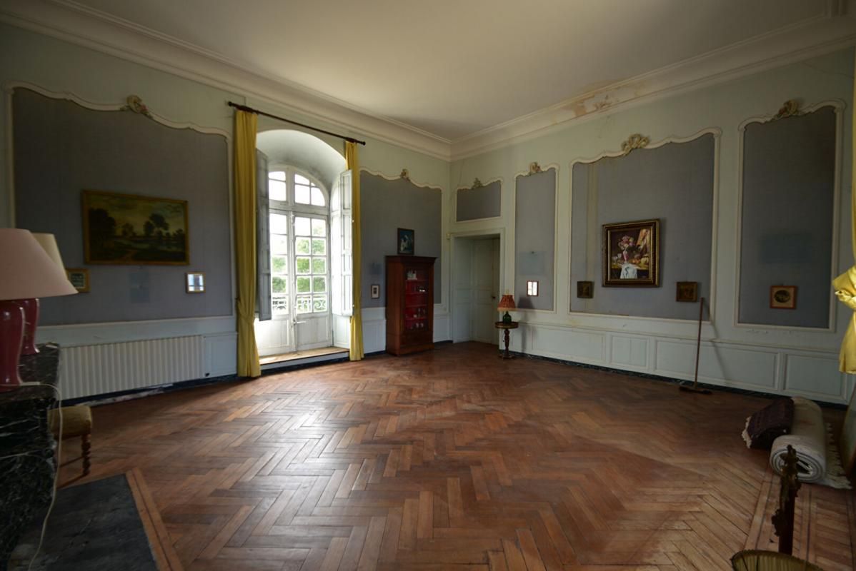 MAZERAY Château  18 pièce(s) 420 m2 2