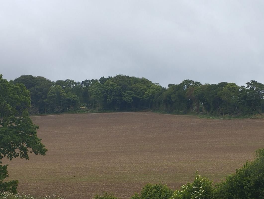 LE FOEIL Terrain à bâtir 1000 m2 2