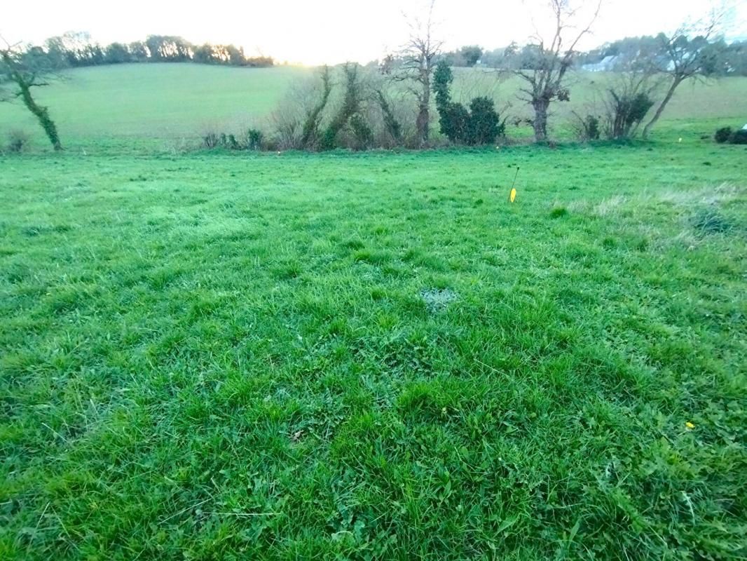 LE FOEIL Terrain à bâtir 1000 m2 4