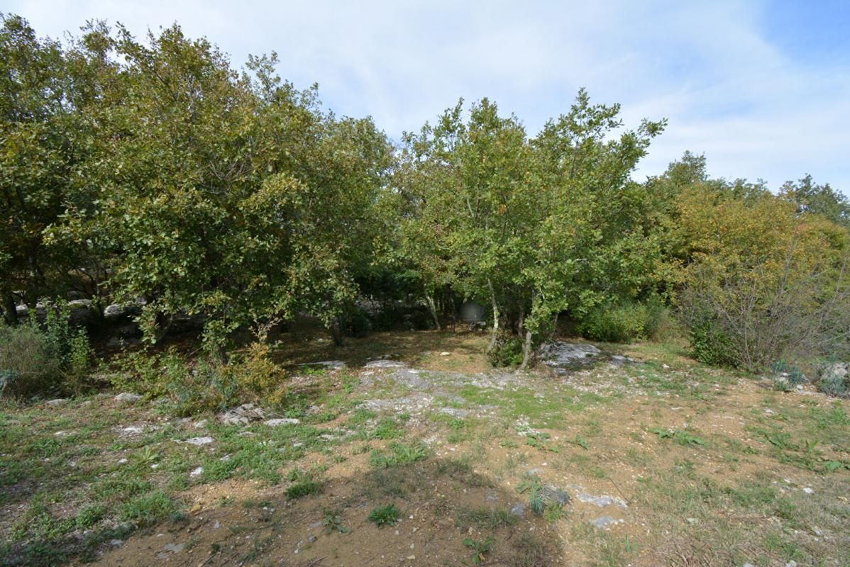 Terrain Chauzon 1794 m2