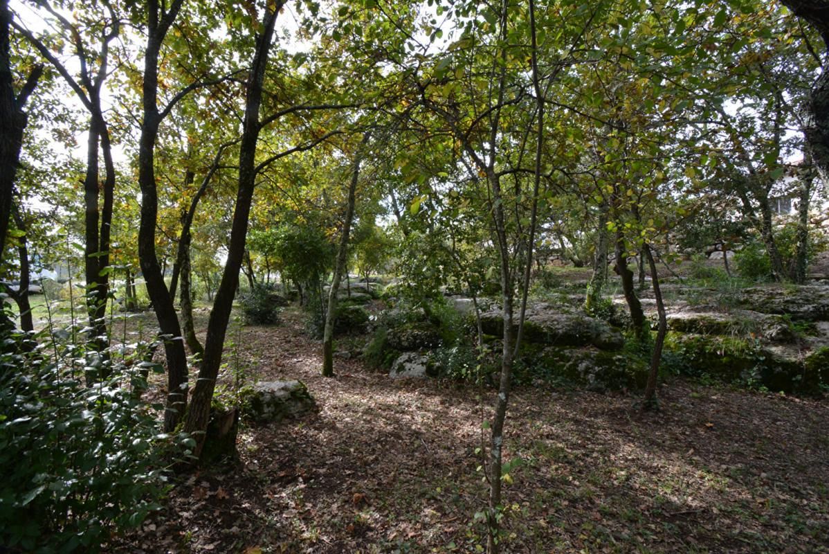 CHAUZON Terrain Chauzon 1794 m2 3