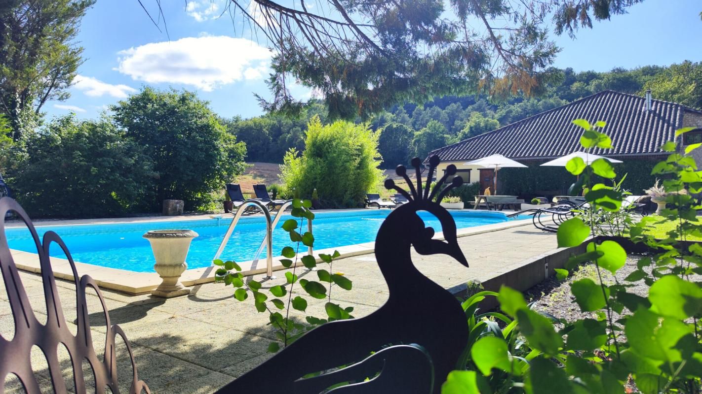 MONTAGRIER Superbes anciennes longères en pierre, rénovées. Maison principale plus 3 gîtes. Salle de réception. Belle piscine 3