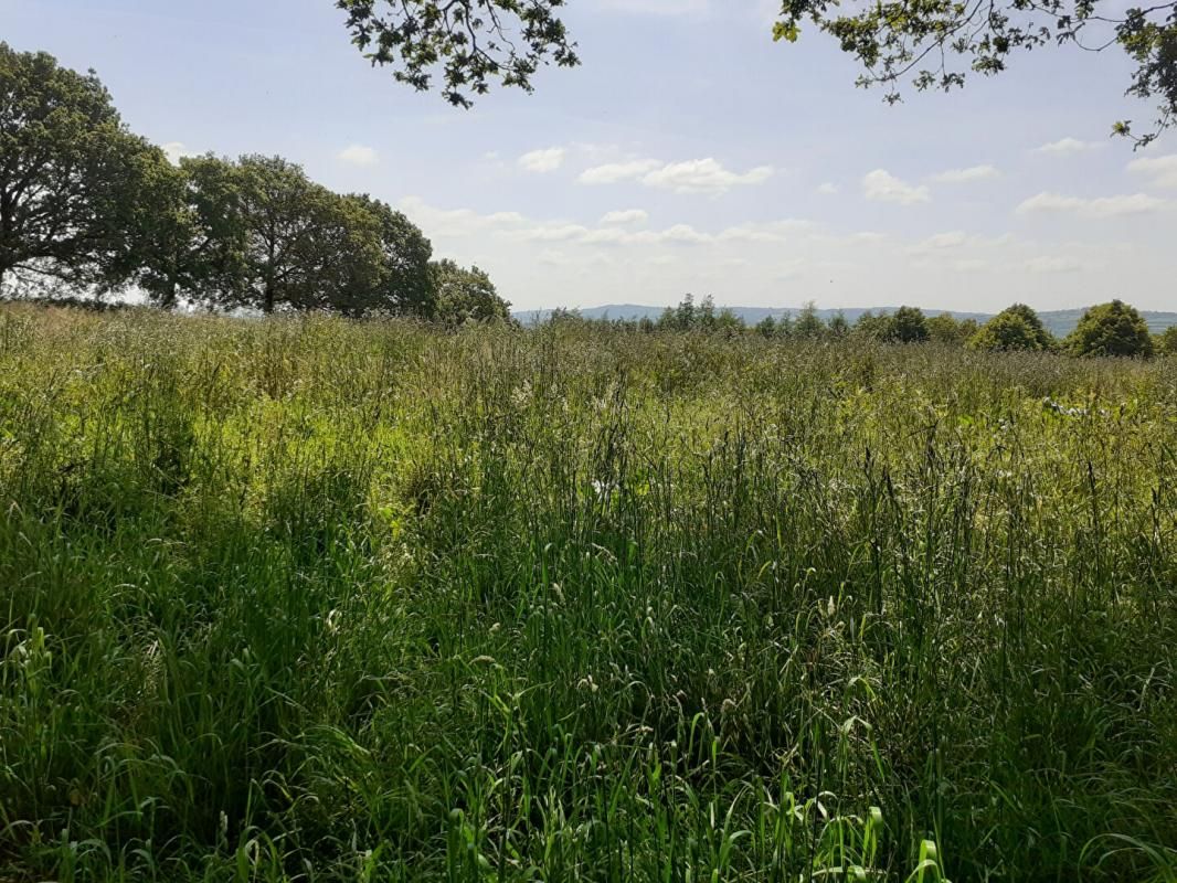 CHATEAULIN Terrain 5 300 m²  pour activités professionnelles - Zone Ty Névez Pouillot à CHATEAULIN 29 150 4