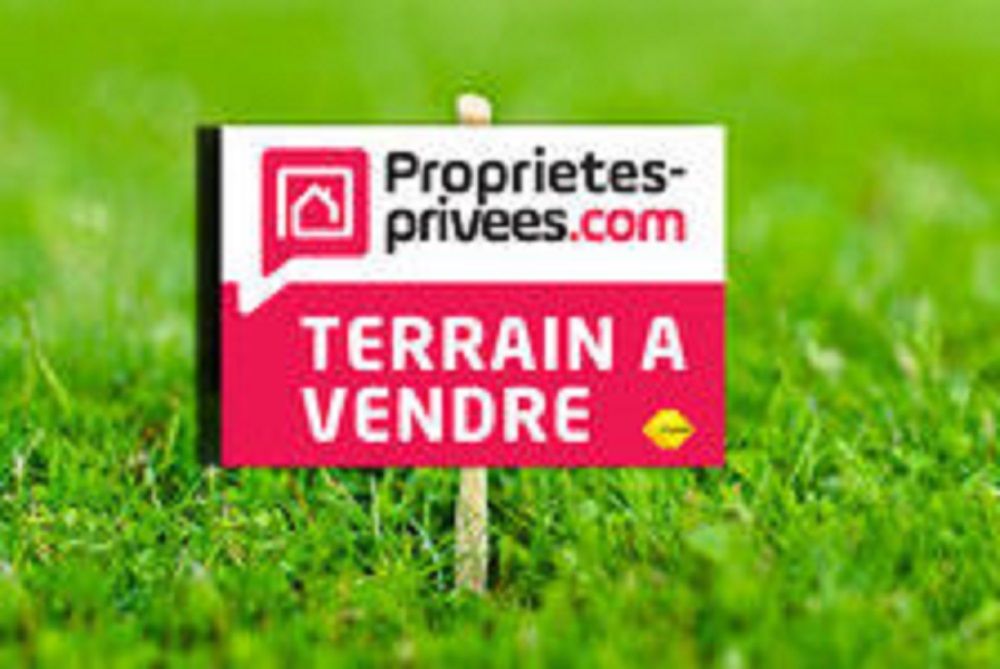 SAINT-BENOIST-SUR-MER Terrain Saint Benoist Sur Mer 10000 m2 1