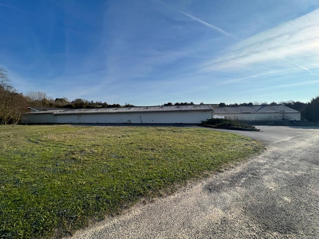 Terrain et Hangar agricole Villers-cotterêts 6200 m2