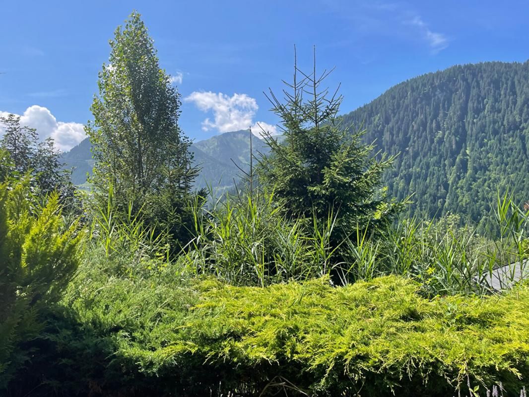 Chatel  à 800m du centre Appt T3 de 40.26 m2 dans chalet, calme et ensoleillé