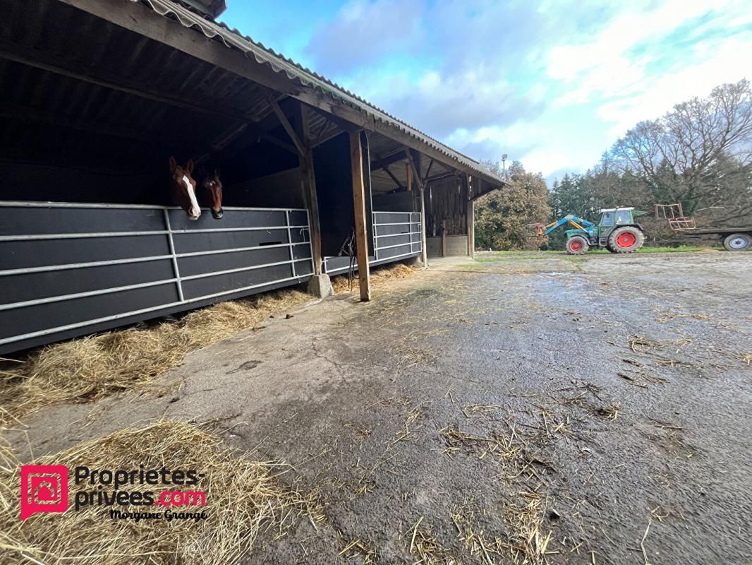 SAINT-BRICE PROPRIÉTÉ EQUESTRE CLÉ EN MAIN 4