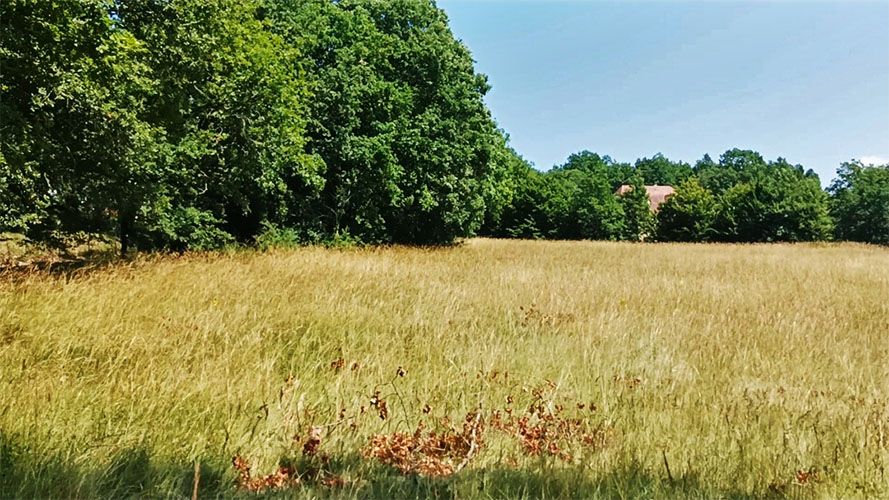 Terrain constructible 2800 m2