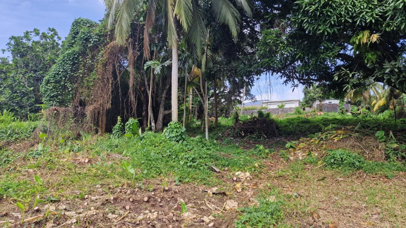 LAMENTIN terrain constructible avec projet de construction Lamentin 97129 Guadeloupe 1