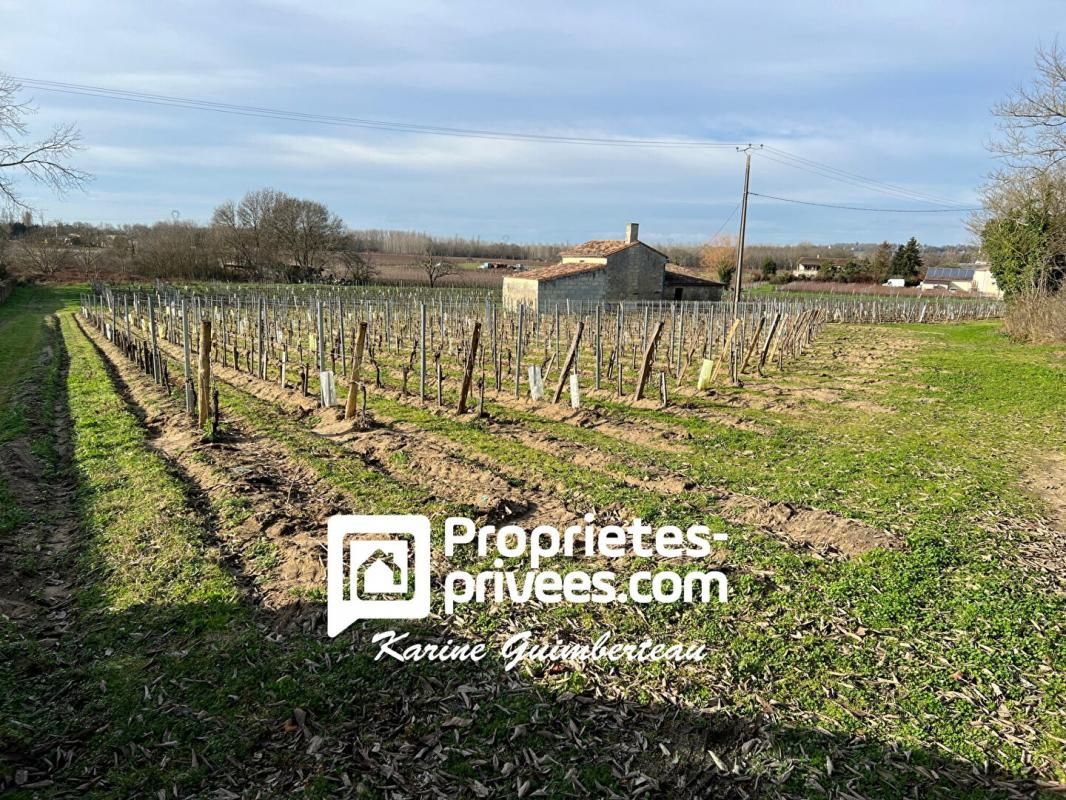 FRONSAC Petite propriété viticole AOC CANON FRONSAC 2