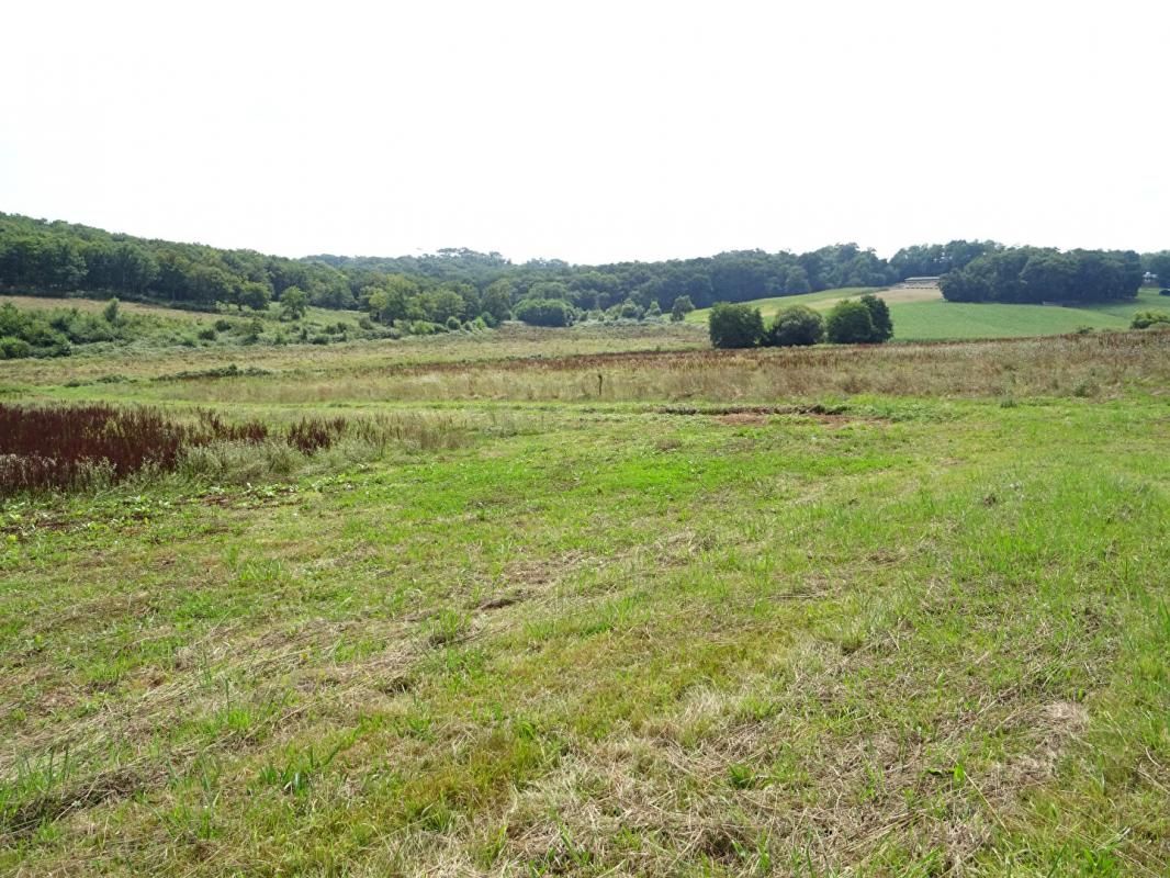 SAINTE-COLOMBE Landes 40700 Sainte-Colombe, corps de ferme avec 22 ha de terres 4