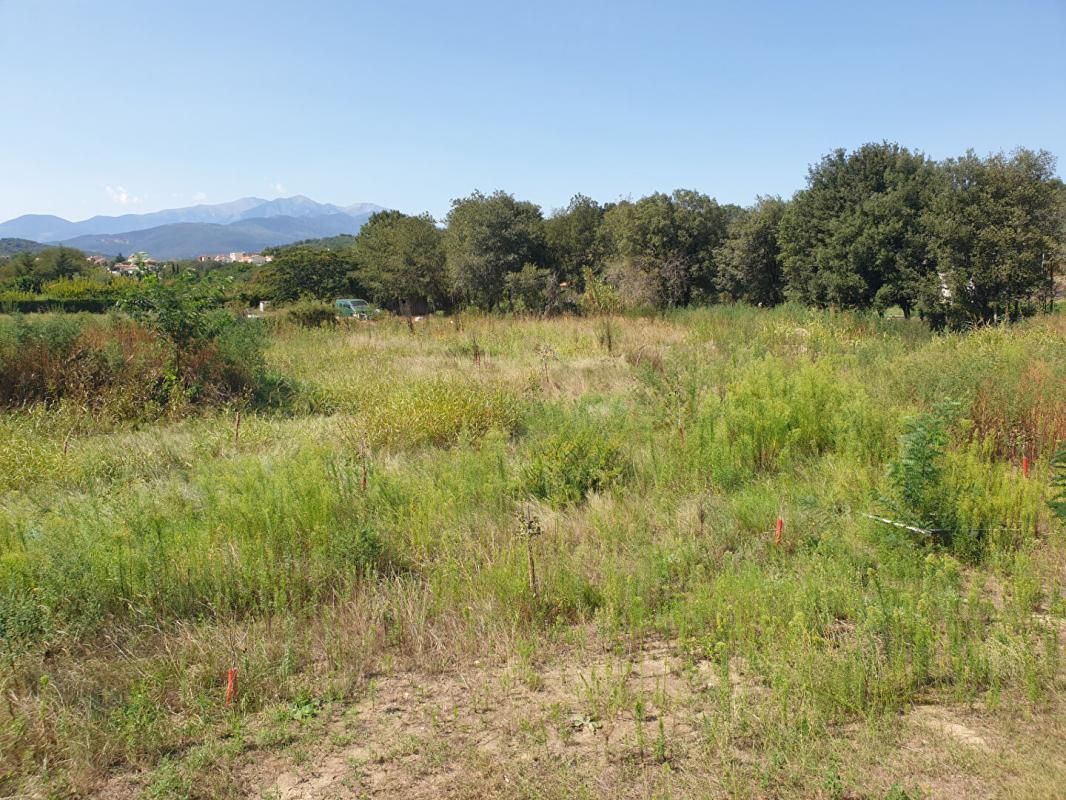 CERET Terrain de loisirs de  5 500 m² avec Casot de 23 m2 sur Céret possible en location 4