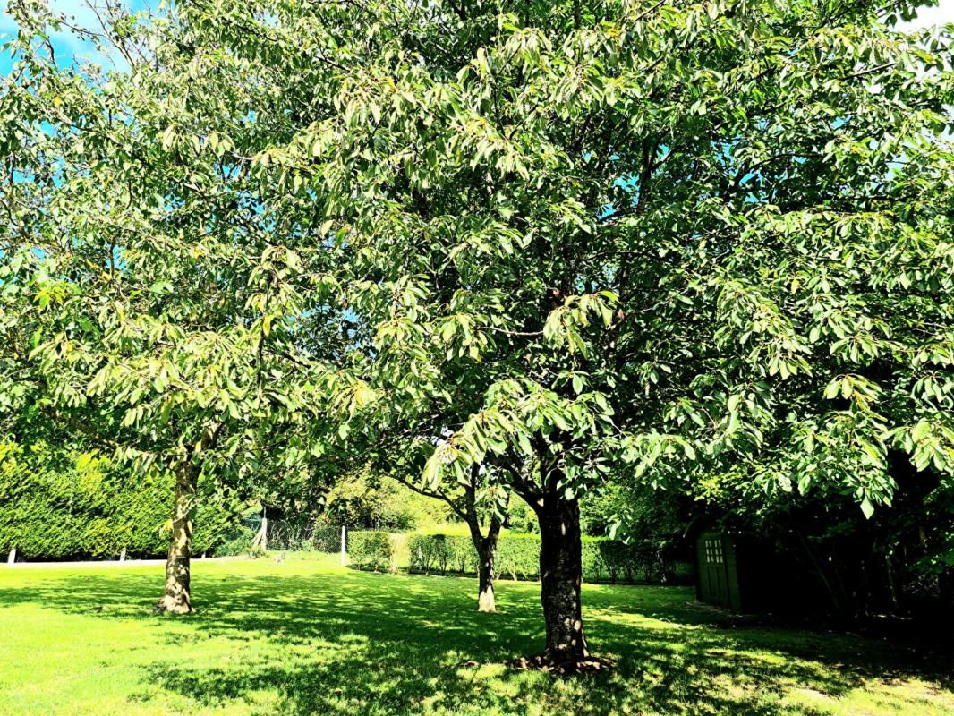 LA CROIX-SAINT-LEUFROY Au calme, agréable propriété de 150 m2 sur sous-sol total - 4 chambres sur un terrain de  1.961 m2 - Prix  : 364.000 2