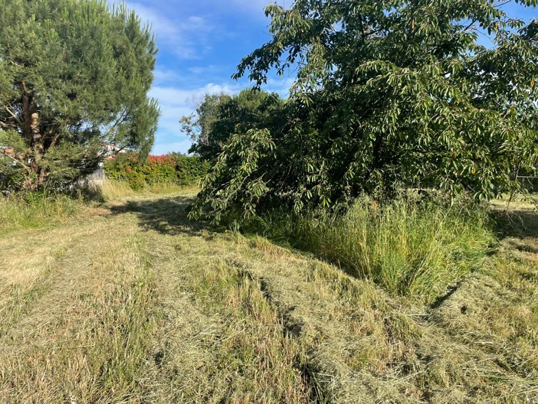 MONTAIGUT-SUR-SAVE Terrain  plat Proche de Cornebarrieu 810m² 4