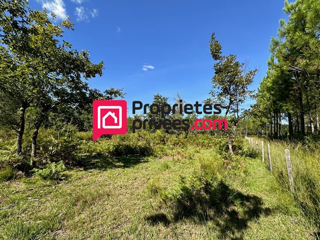 Terrain de loisirs Vendays Montalivet 2991 m2